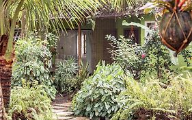 Butterfly House Bahia